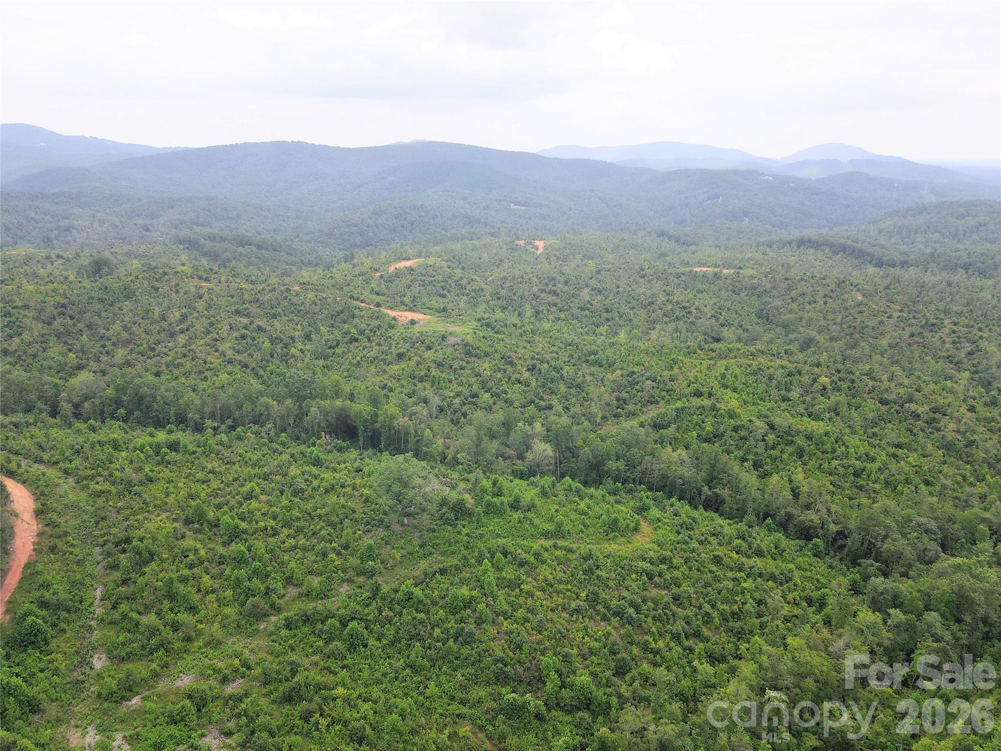 Endless Possibilities Await on This Expansive 200+ Acre Unrestricted Tract!Situated along Youngs Creek Road with approximately 400 feet of road frontage, this remarkable property offers rolling mountain terrain, long-range views, and incredible potential. Whether you're a developer envisioning a large-scale project, an investor looking for long-term opportunity, or a buyer dreaming of a private mountain estate, this property offers the space and flexibility to bring your vision to life.Clear-cut approximately three years ago, the property provides a unique blank canvas with multiple potential building sites and expansive areas ready to be thoughtfully developed or transformed. A spring-fed creek winds through the property, adding to its natural mountain character and appeal.With 200+ unrestricted acres, the possibilities are wide open—from a private family compound or secluded homestead to multiple homesites or a larger development opportunity. Enjoy privacy, mountain scenery, abundant acreage, and the freedom to create something truly your own in the beautiful mountains of Western North Carolina.Rarely does this much unrestricted acreage with this level of potential come available—bring your vision and explore the possibilities!