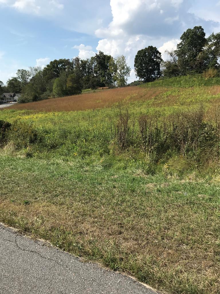 Mature subdivision with easy access to Chilhowie and Interstate 81.  Lots are not well marked so consult map for general vicinity.  Roads are VDOT maintained.  No homeowners association but there are building and maintenance covenants.