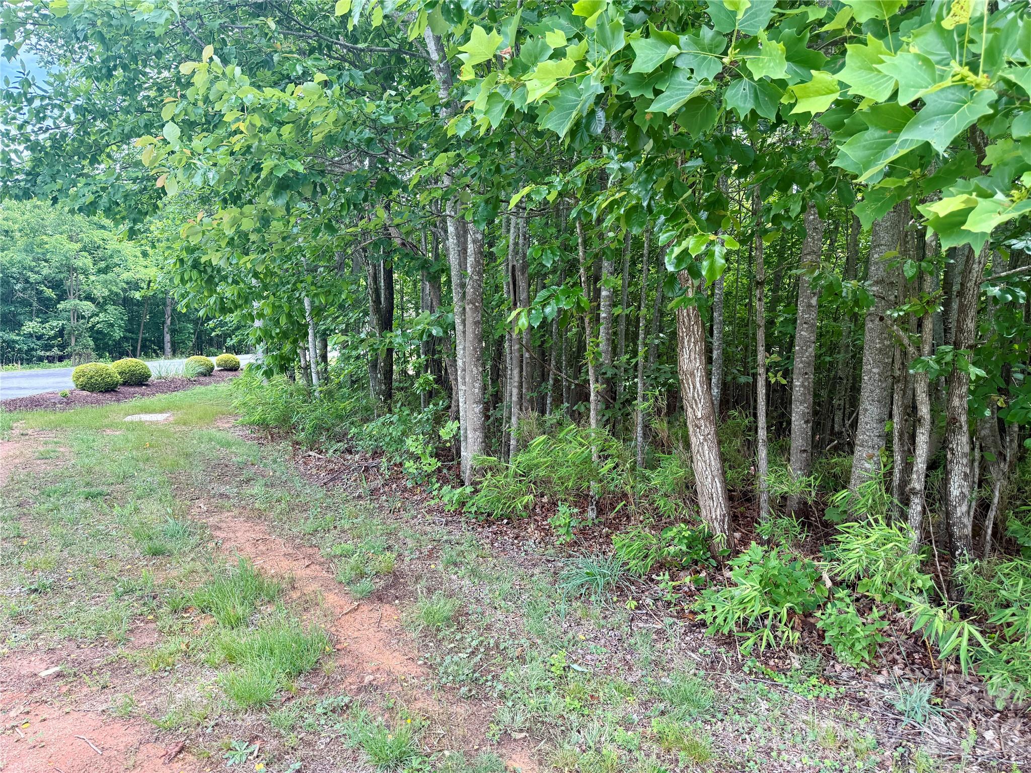 V/L Scenic Vista Drive 248