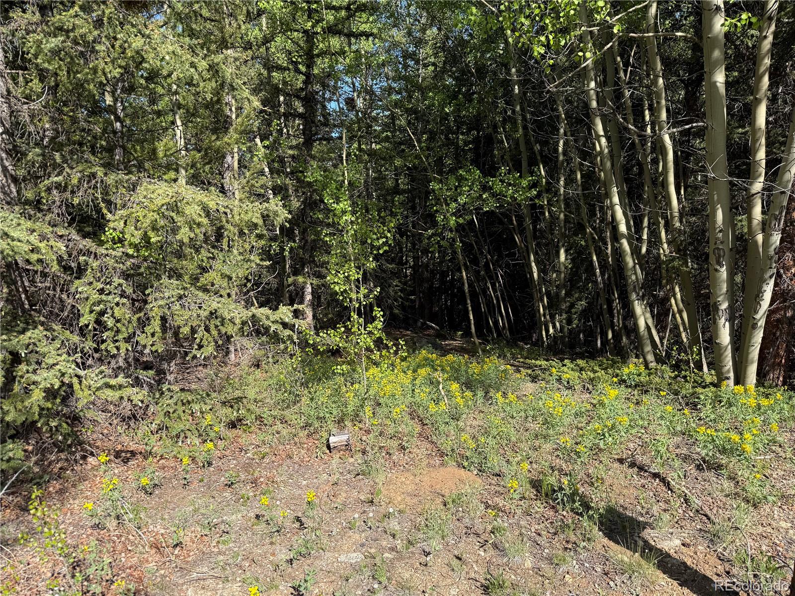 Lot 6843 Ryland Road