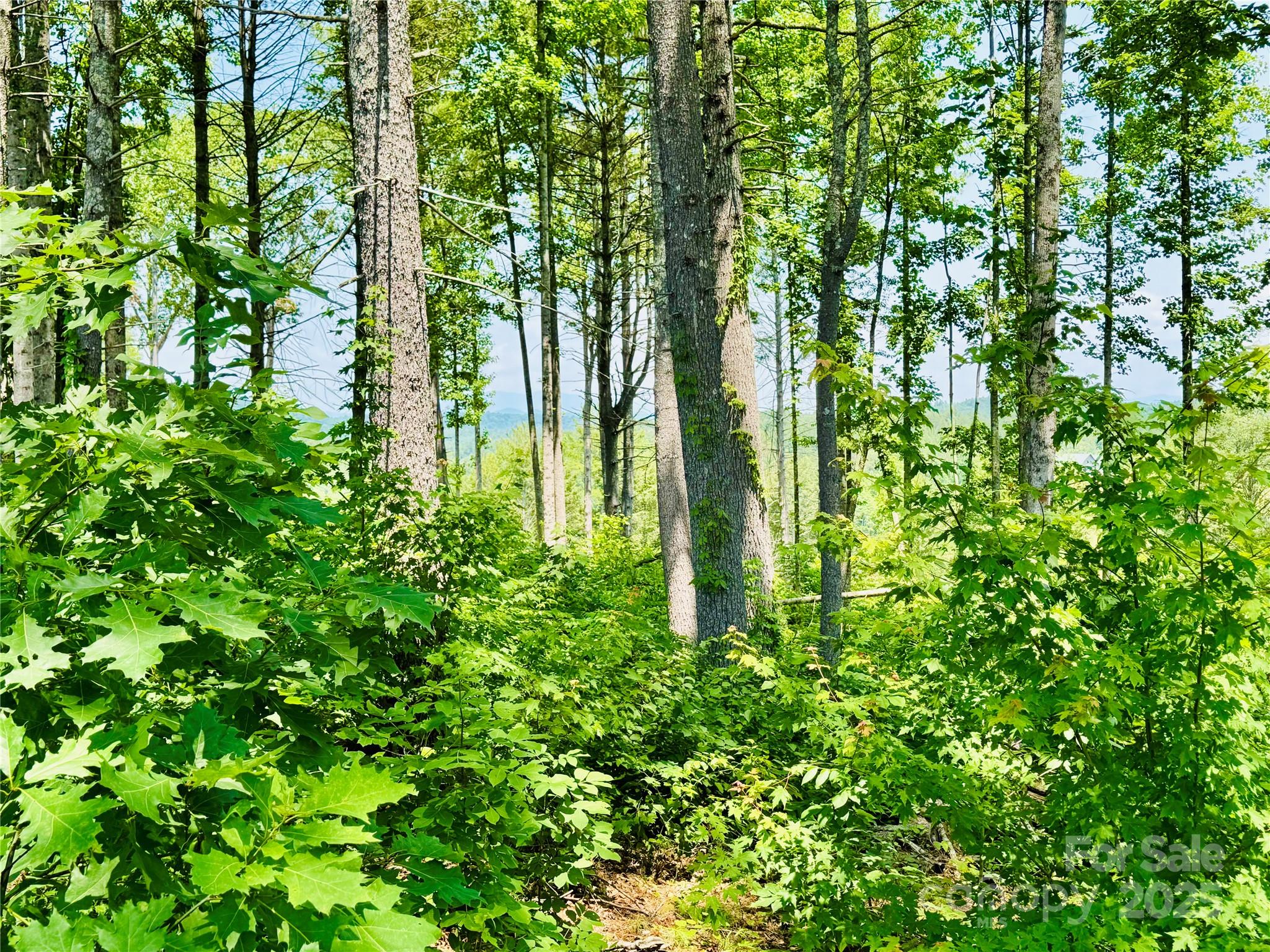 2.07 acres, 2058 Thoroughbred Way Lot G16