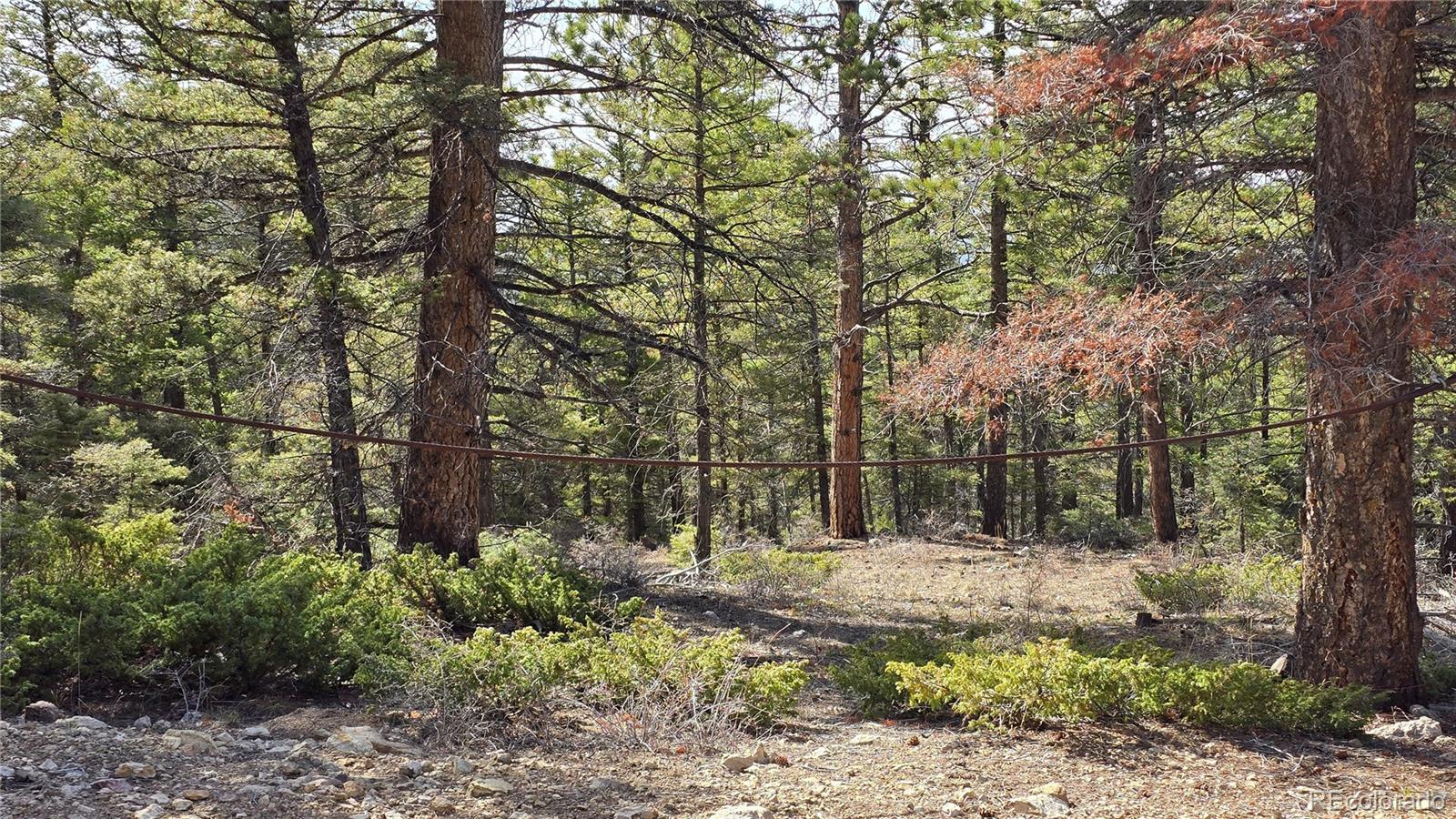 Lot 6070 Vreeland Road