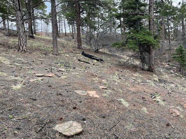 Lot 513 Leslie Loop