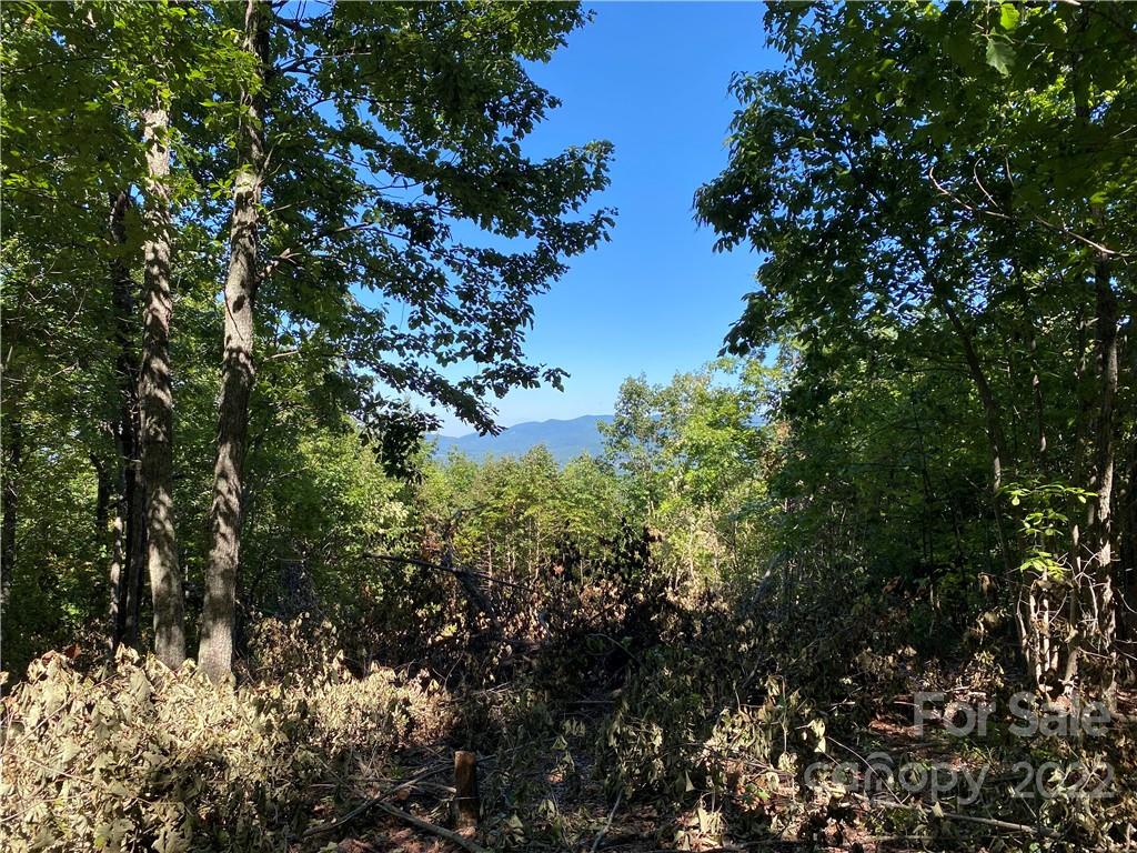 362 Mossy Oak Trail 128