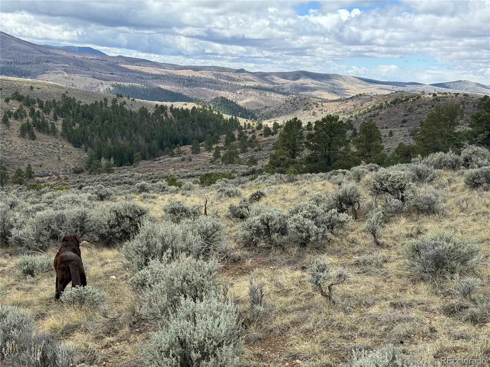 Lot 297 Boothby Lane