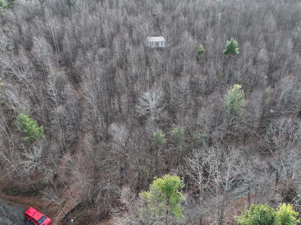 Discover the perfect blend of privacy, mountain views, and outdoor recreation on this 8.15-acre wooded tract in Floyd County, Virginia. Tucked away in a peaceful, natural setting, this property offers a beautiful view of Buffalo Mountain and the surrounding Blue Ridge Mountains, making it an ideal retreat, hunting property, or future homesite.  The land is entirely wooded, providing excellent privacy and abundant wildlife, perfect for hunting or nature lovers. Land is rolling to steep. A building site with an existing structure is already in place—ready to be finished to suit your vision, whether as a cabin, getaway, or full-time residence. The access road leading to the building will need gravel and improvements, and access requires parking and a short walk to the structure, enhancing the secluded feel of the property. NOTE: Property is sold as land with a structure on it.   Conveniently located, this property is just 10 minutes from Meadows of Dan and the Blue Ridge Parkway, offering quick access to scenic drives, hiking, and local attractions. You're also 30 minutes from Floyd, VA, known for its vibrant music and arts scene, and 30 minutes from Hillsville and Interstate I-77 for easy regional travel.  If you're looking for a private mountain property with views, wildlife, and endless potential, this Floyd County land is a rare opportunity.