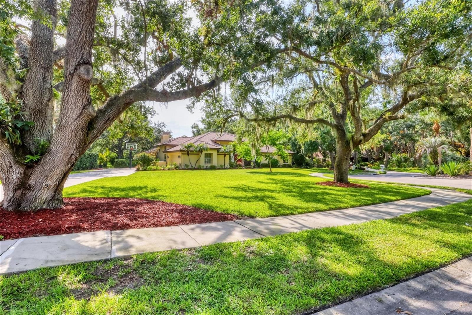 8717 Misty Creek Drive