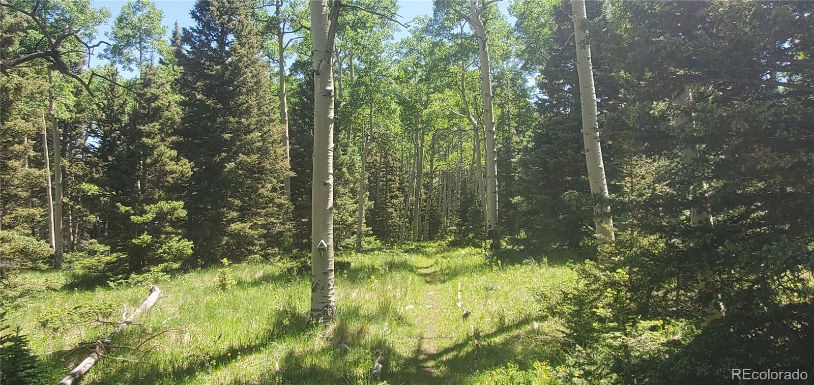 Lot 3085 Henderson Lane
