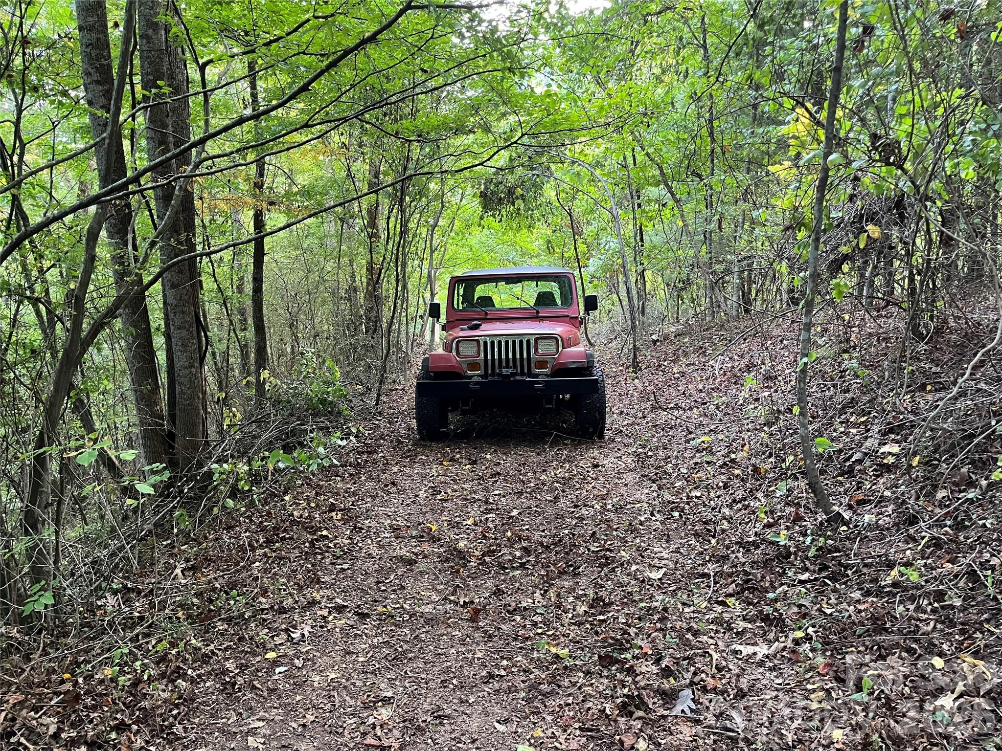 1961 Cane Creek Road