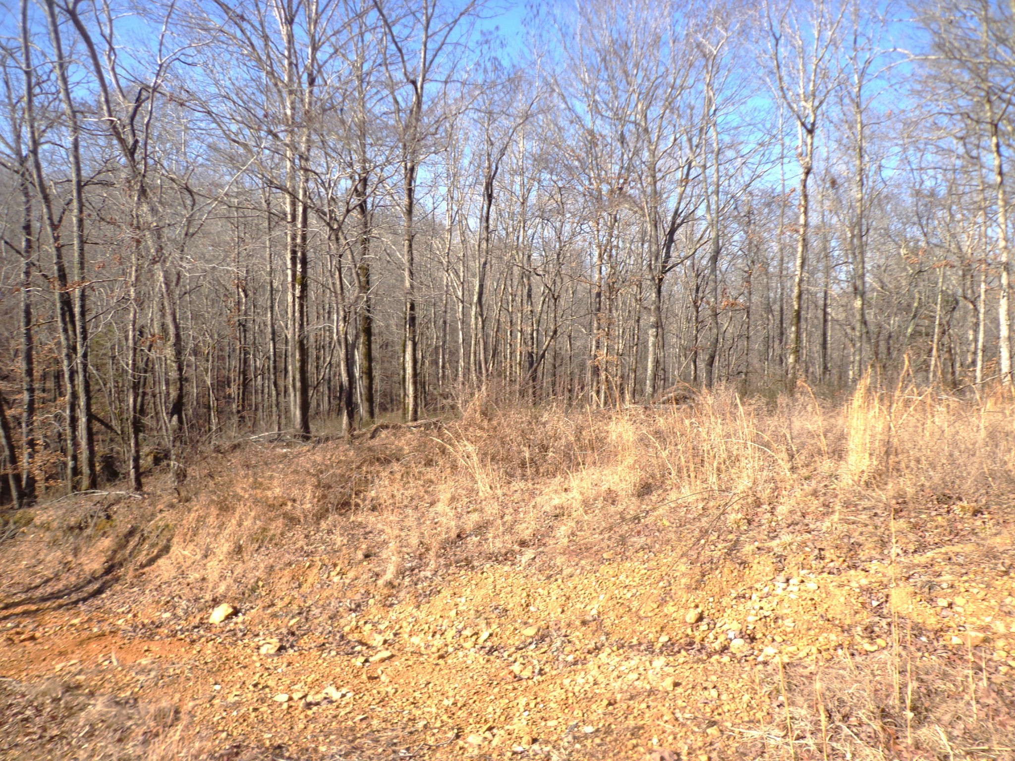 0 Deer Grass Ln
