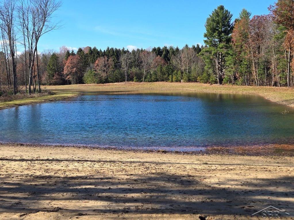 Stunning New Construction Perched Atop a Massive Sand Ridge, Huge Private Pond, 19.77 Acres, Large Gourmet Kitchen with Stainless Appliances, Gorgeous Quartz Counter Tops and a Spacious Breakfast Island, Amazing 20' Ceilings Thru-Out, Heated 5-inch Thick Concrete Foundation (separate thermostats for home and barn), 55' long, 15' wide Covered Wrap Around Patio with a Sandy Beach Just a Few Steps Away . . The Peace & Tranquility Are Unmatched Anywhere in Mid Michigan - Escape, Recharge & Relax!!  . . ***for aerial view, go to Realtor.com and click on "Fly Around" ***