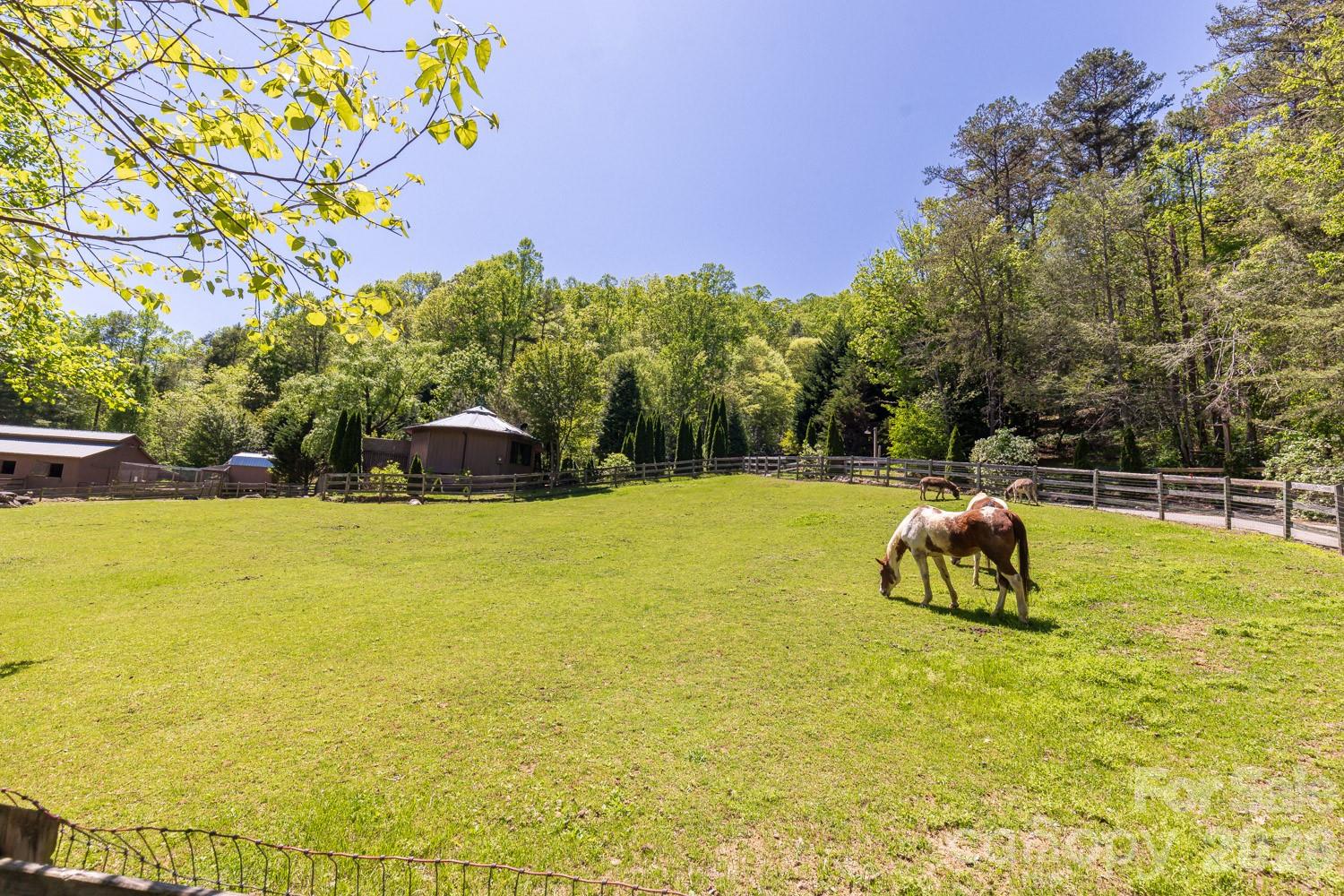 9999 Fairview Forest Drive