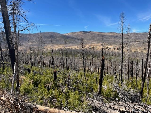 Lot 1741 Mathlide Place