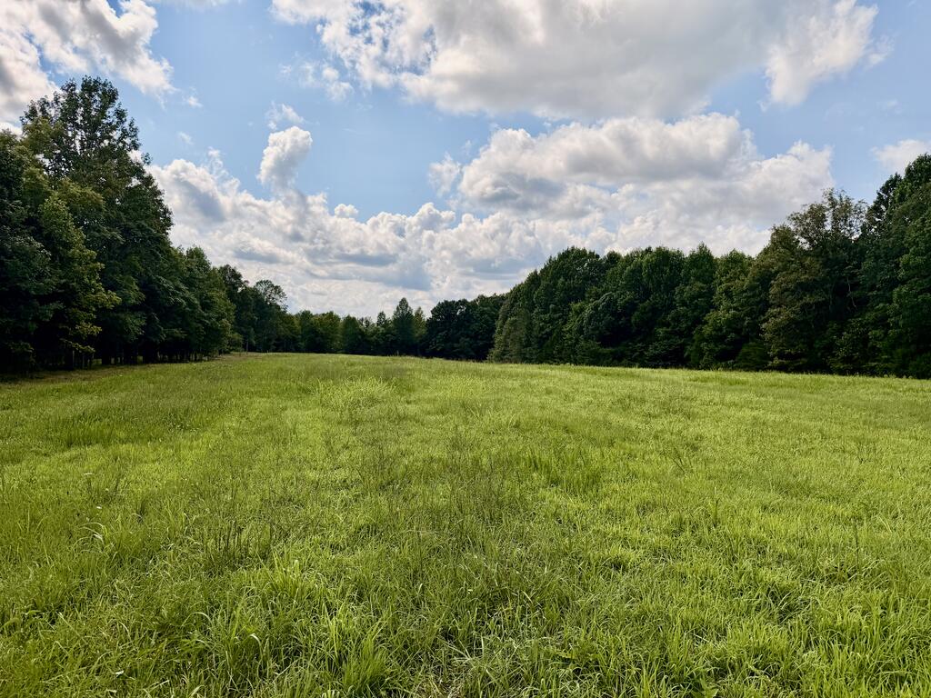 220+/-AC Hensley Cemetery Ln