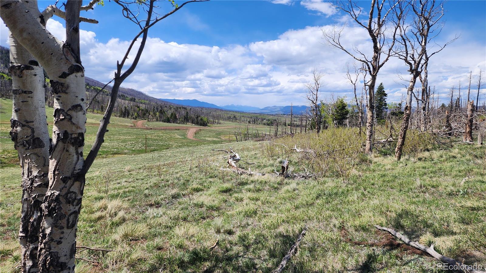 2334 Wohlstetter Loop