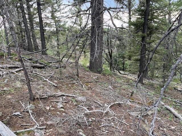 Lot 6184 Ryland Road