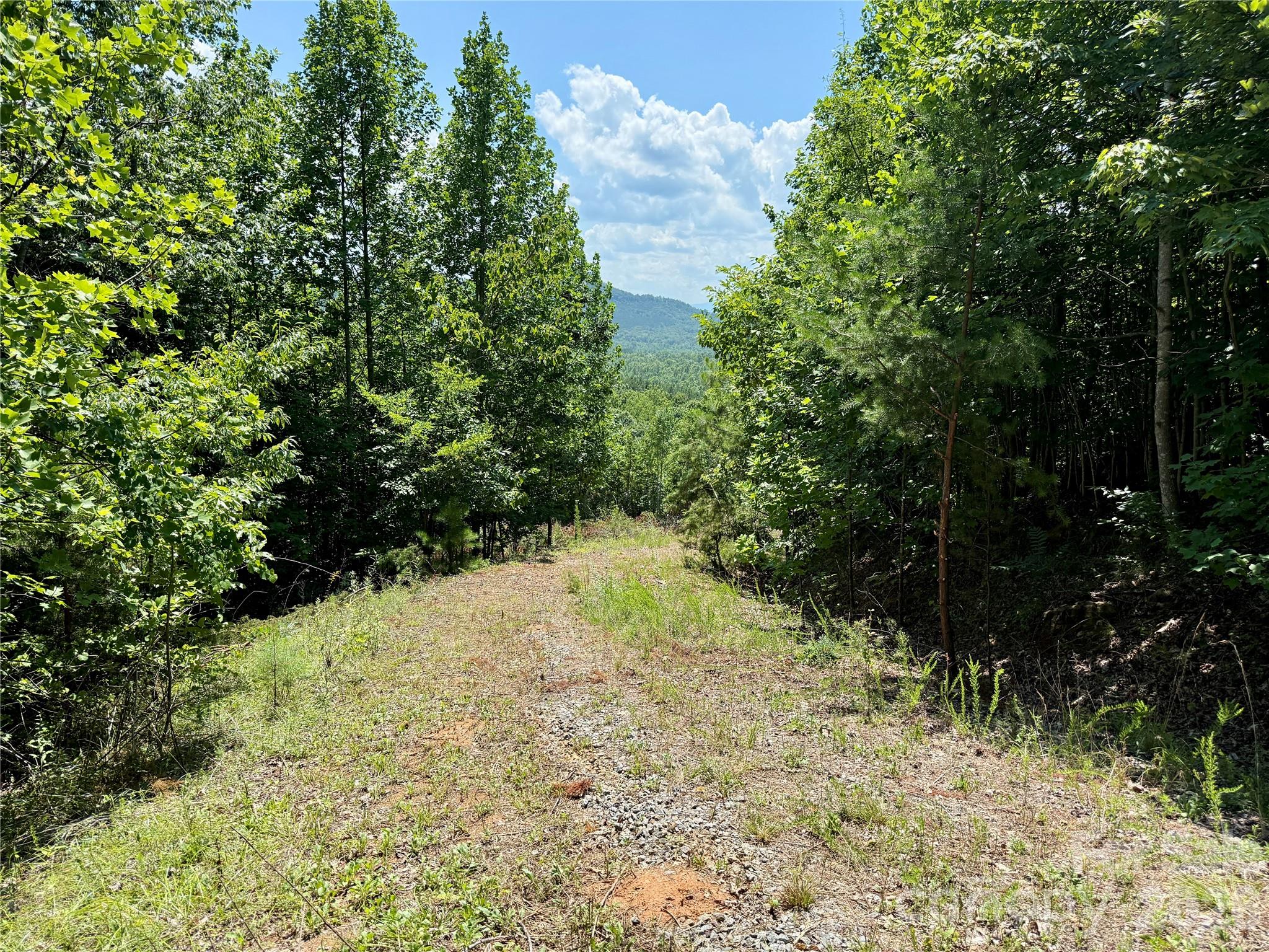 V/L Summit Trail 82