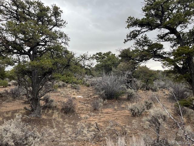 Lot 2087 Sandoval Road