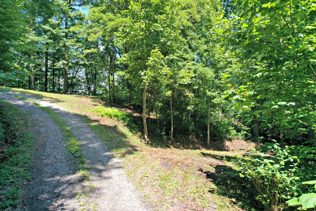 Oat Field Road