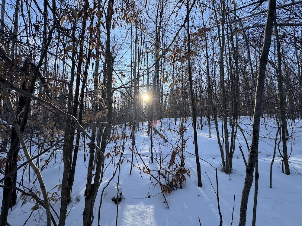 This property offers a rare opportunity to own a professionally designed and managed whitetail hunting property that is completely turn-key.This tract is part of a larger 152+/- acre property that was developed under a full habitat plan by renowned whitetail consultant Jeff Sturgis, with the plan fully implemented and producing excellent results. Food plots, blinds, and carefully planned access routes allow hunters to enter and exit without disrupting deer movement.Sanctuary areas and timber stand improvement have been strategically completed to improve habitat quality and hold mature whitetails on the property. The timber work encourages desirable species to thrive while increasing browse and cover throughout the tract.Active beaver ponds provide water and additional habitat, and an established trail system allows easy navigation across the property. Multiple food plots and blinds are already in place, making this a ready-to-hunt property from day one.The North 80 can be enjoyed as a stand-alone hunting tract or paired with the adjoining South 72?? acres, which together make up the full 152?? acre offering. Current use is Hunting,Recreational.