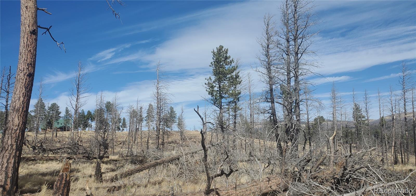 Lot 585 Leslie Loop