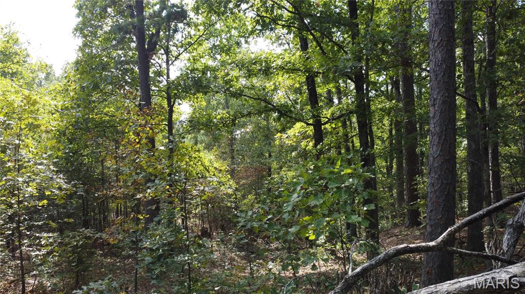 10255 Squaw Creek Rd