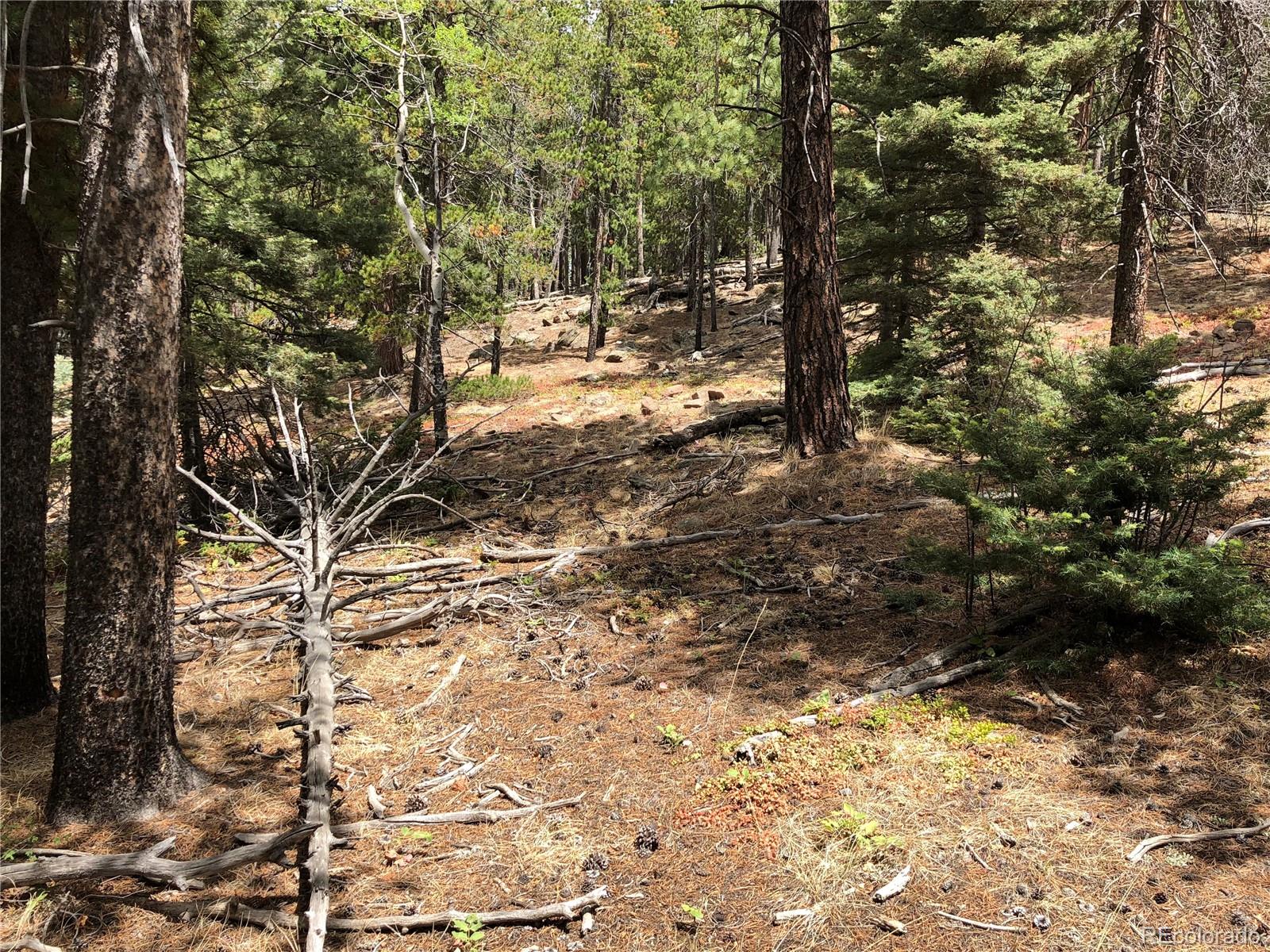 Lot 174 Ferris Place