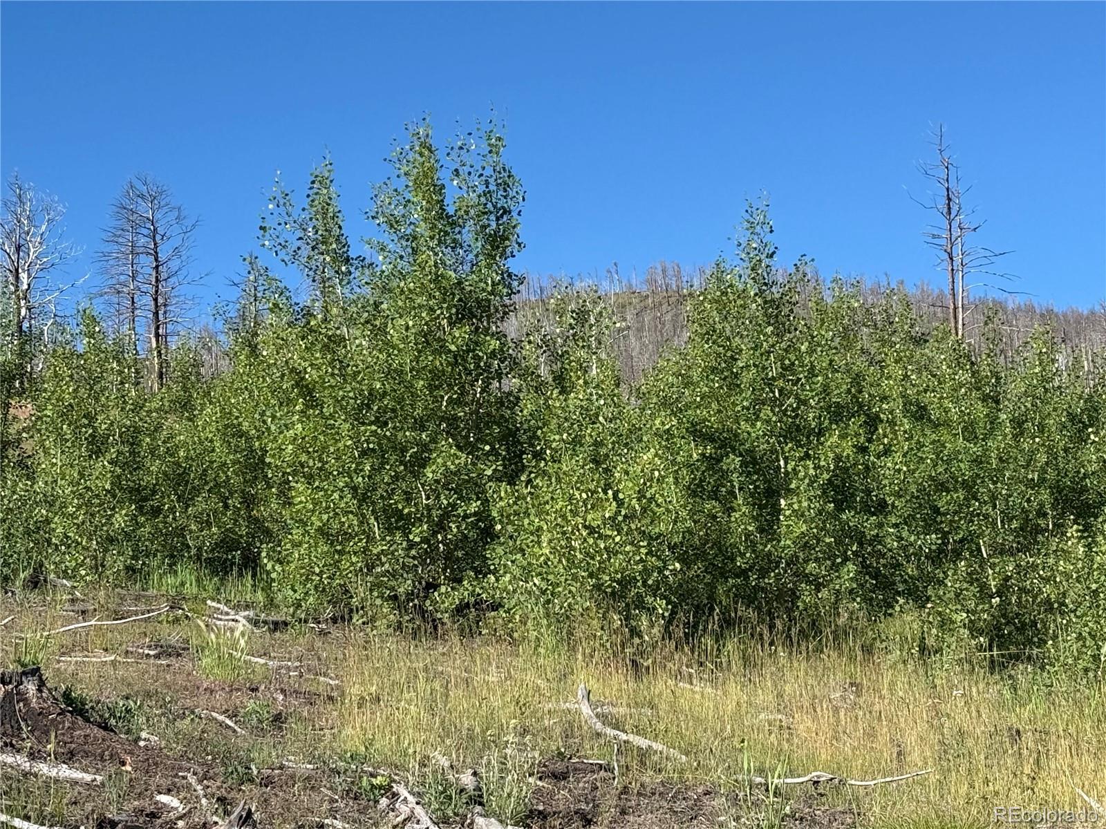 Lot 775 Forbes Park Road
