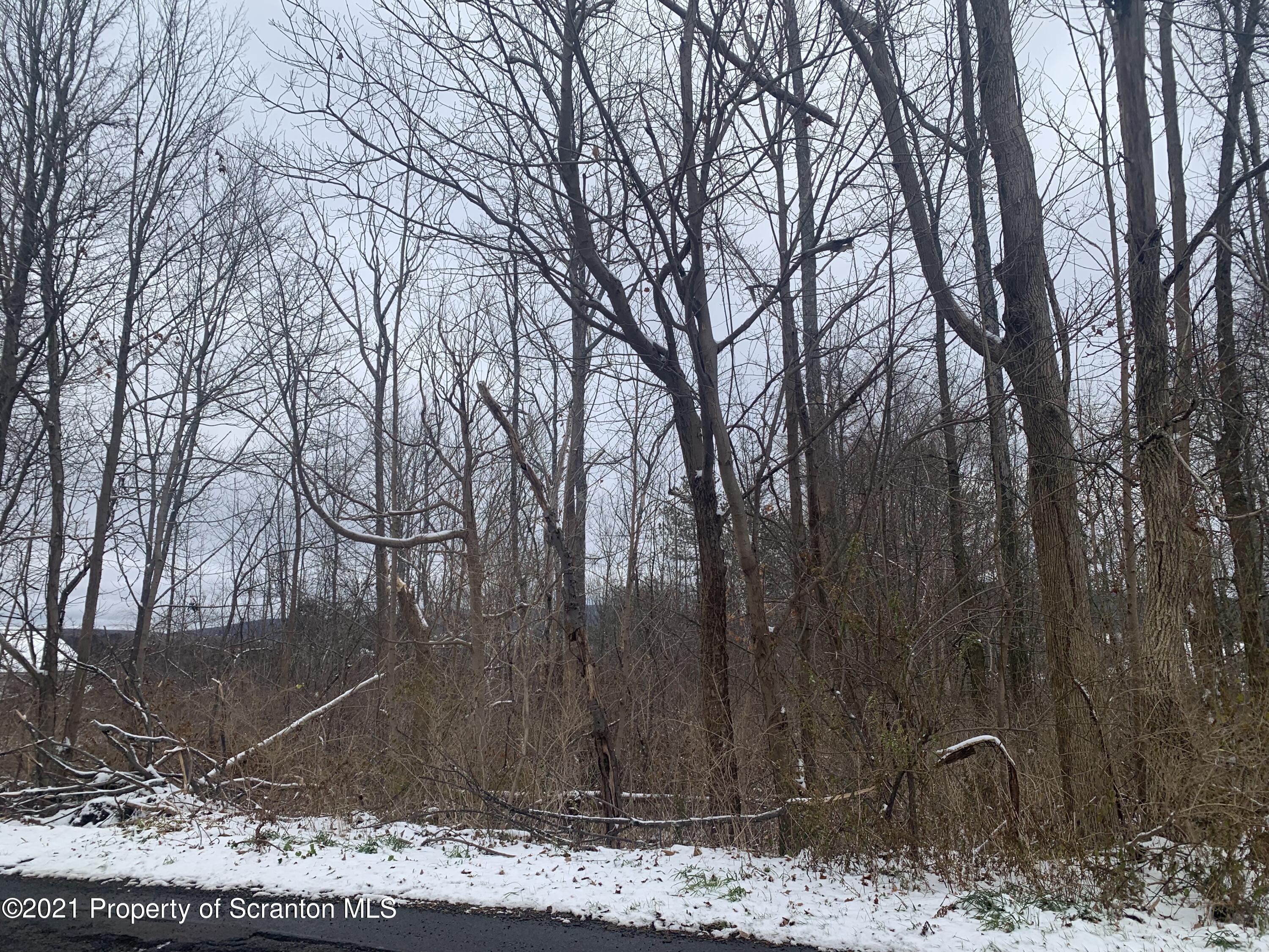 Griffin Pond Road