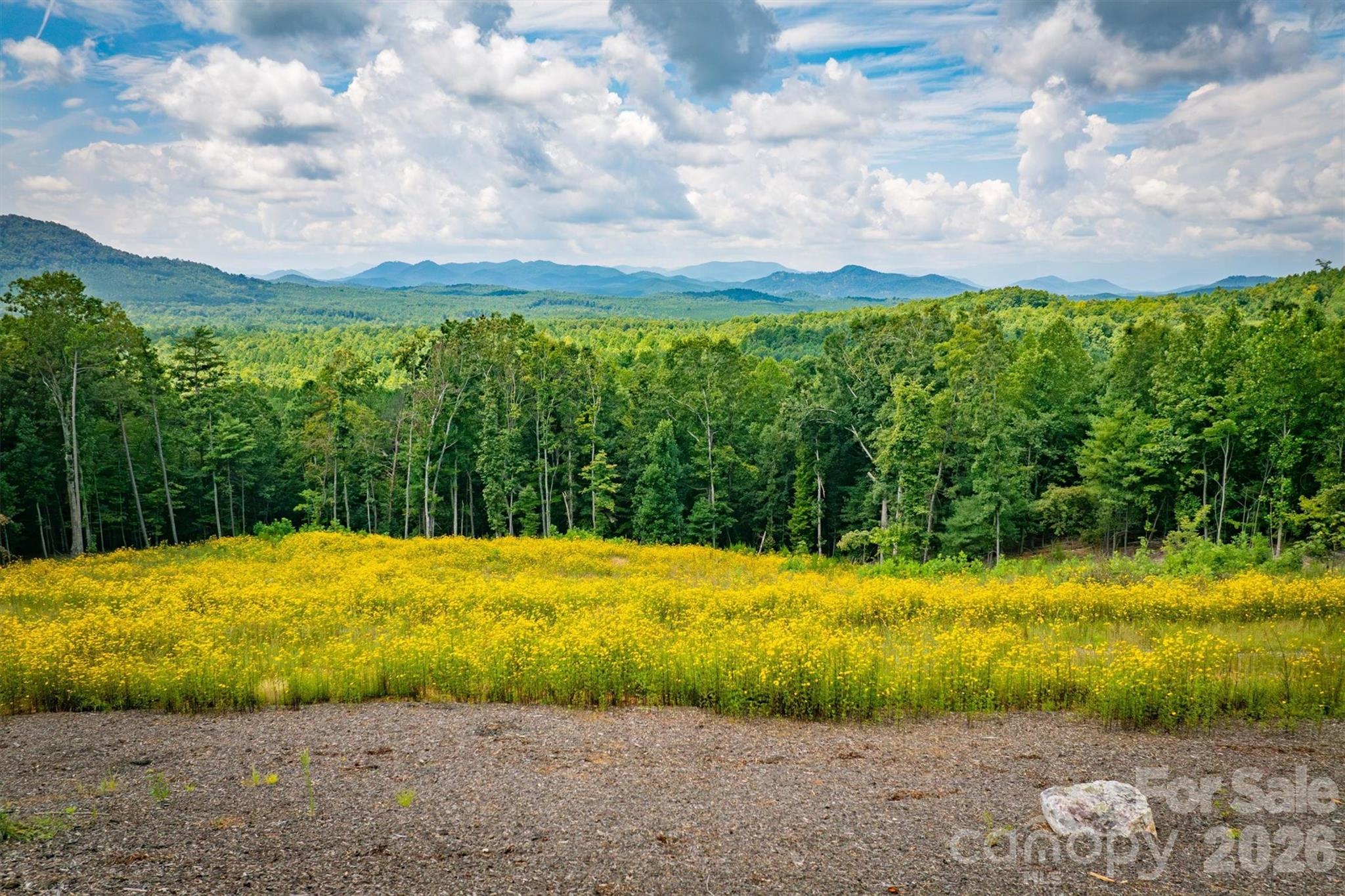 463 Summit Trail