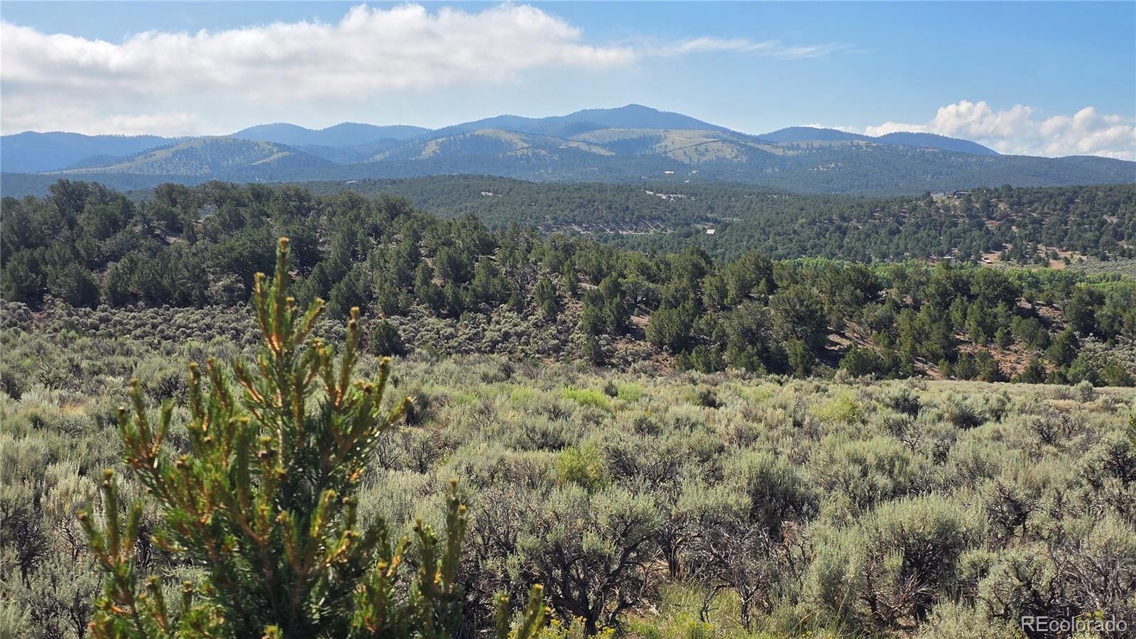 Lot 4296 Renfield Road