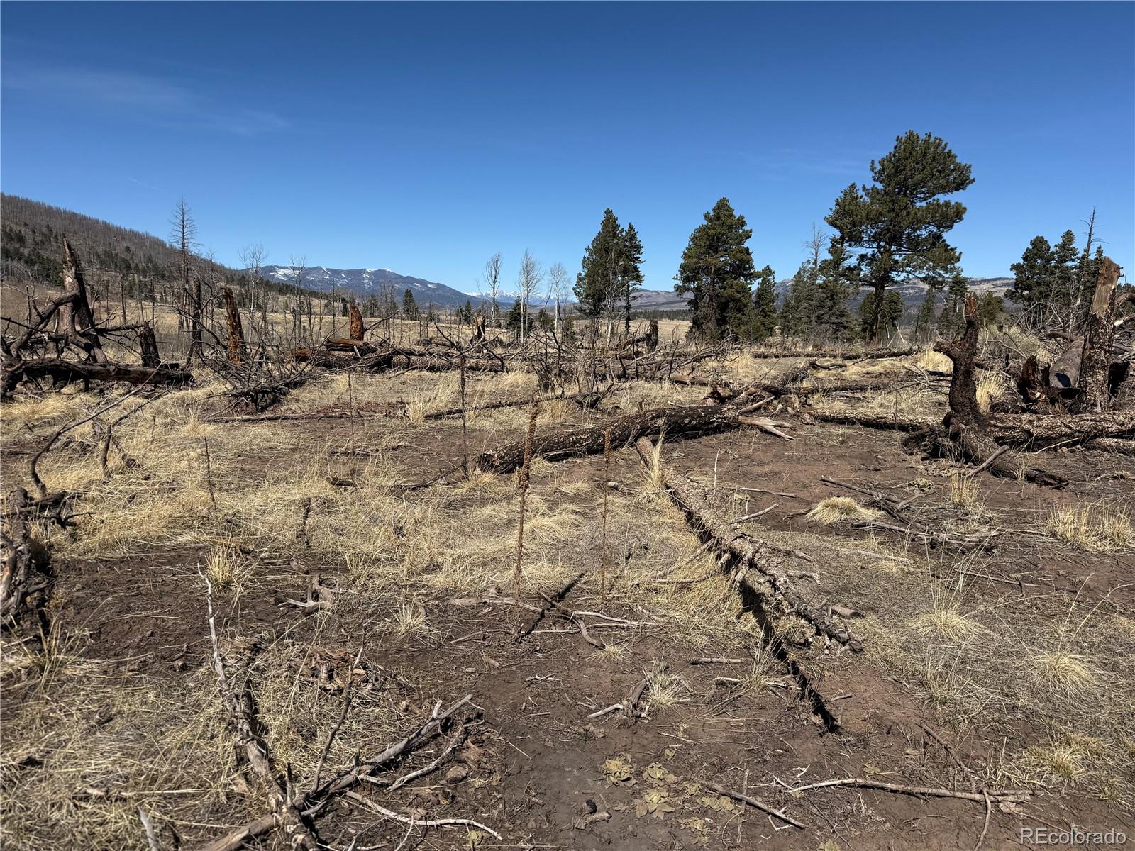 Lot 999 Foy Place