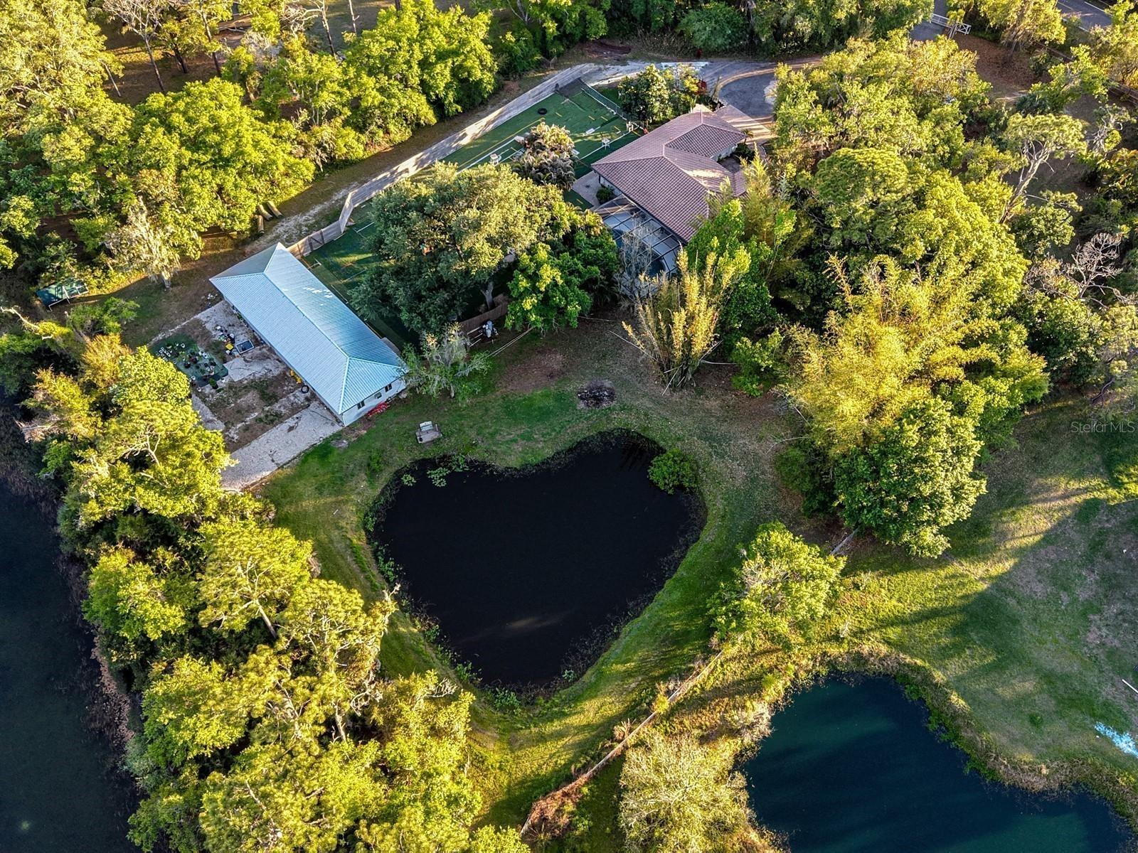 7311 Proctor Road