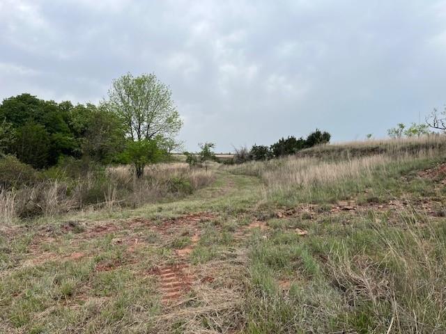 Just under an hours drive from Fort Worth you can enjoy the solitude of what this 35 acres has to offer. There is a good stand of mature Oak trees along with native grass pasture towards the north end of the property. Come on out and see where the best location is for that new home with NO HOA just some minimal restrictions, no mobiles, site built only but barndo's OK. Under ag for low taxes, in area of good water wells and electric along road so come choose the tract thats best for your family. Aerial in pictures with other tracts available.