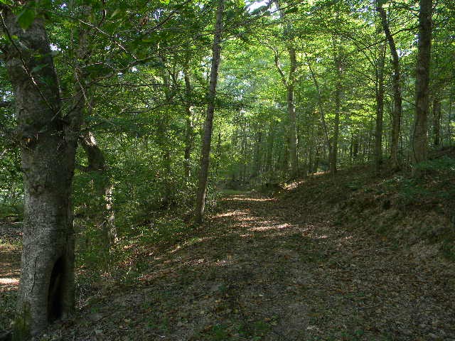 0 Traylor Branch Road