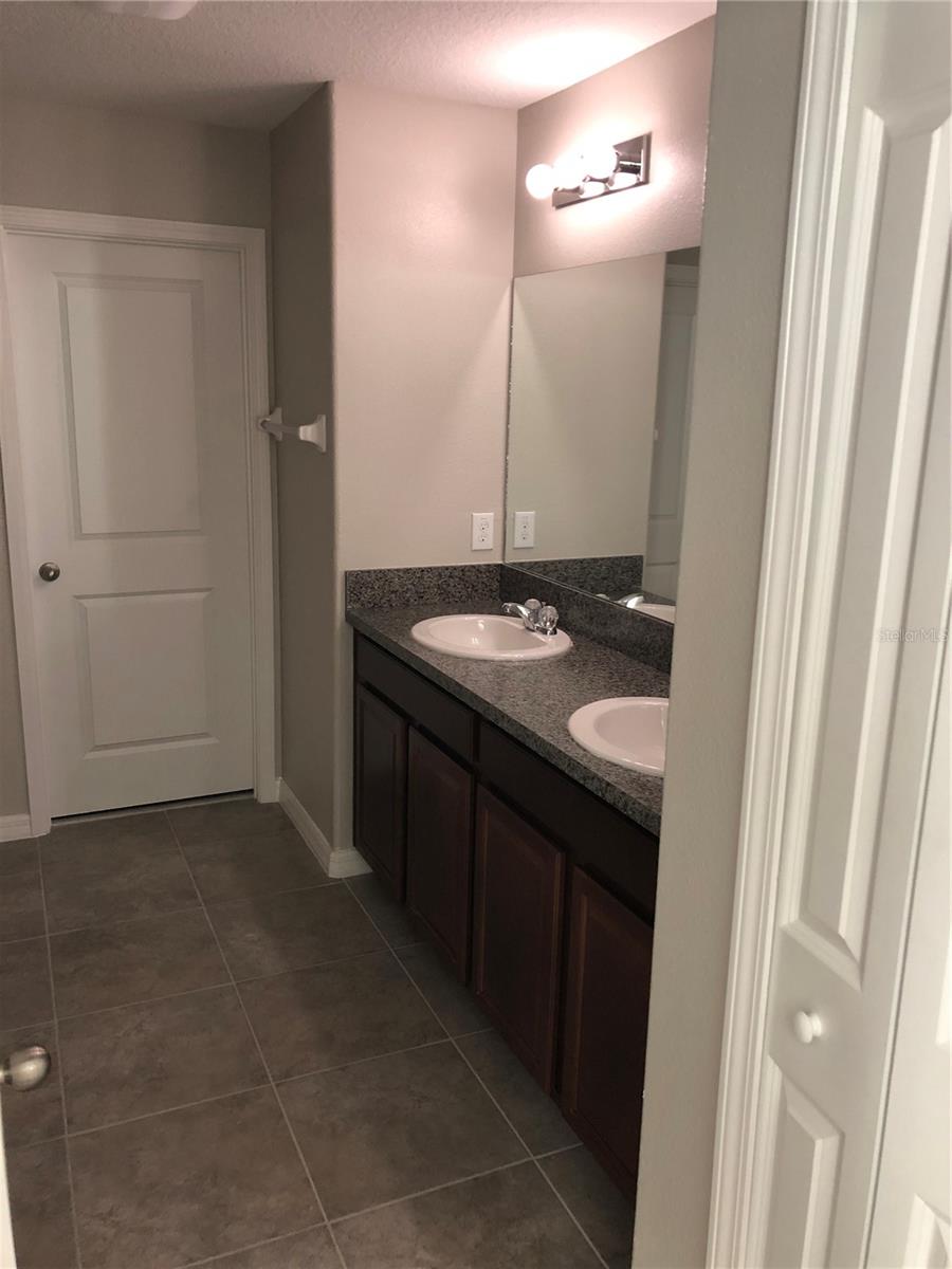 10103 Crested Fringe Drive