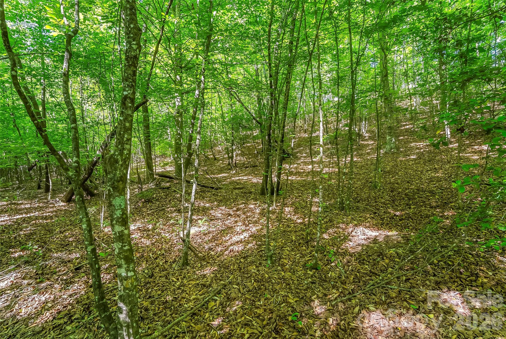 3495 Irish Hills Road 3