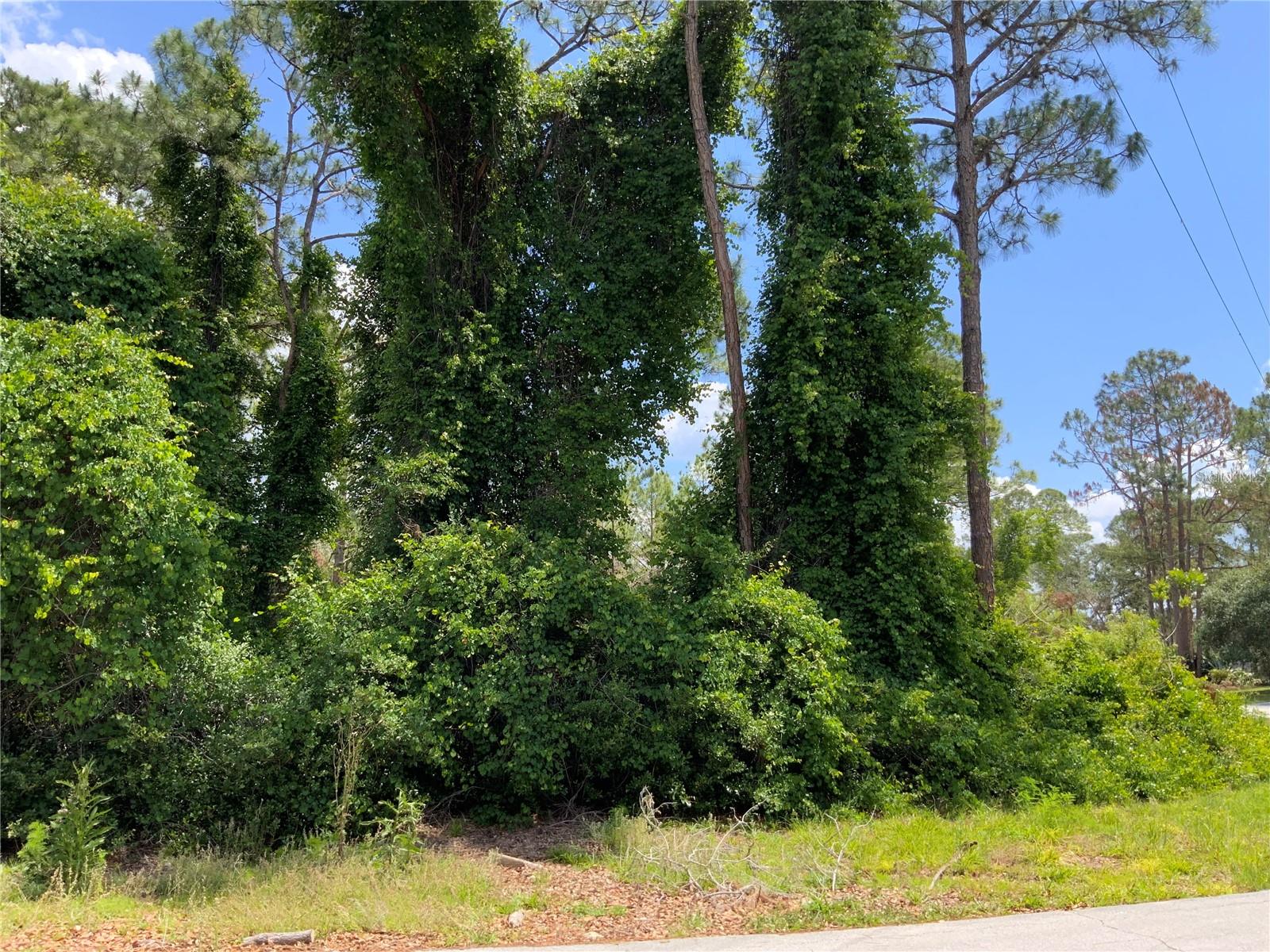 2690 Kingsdale Drive