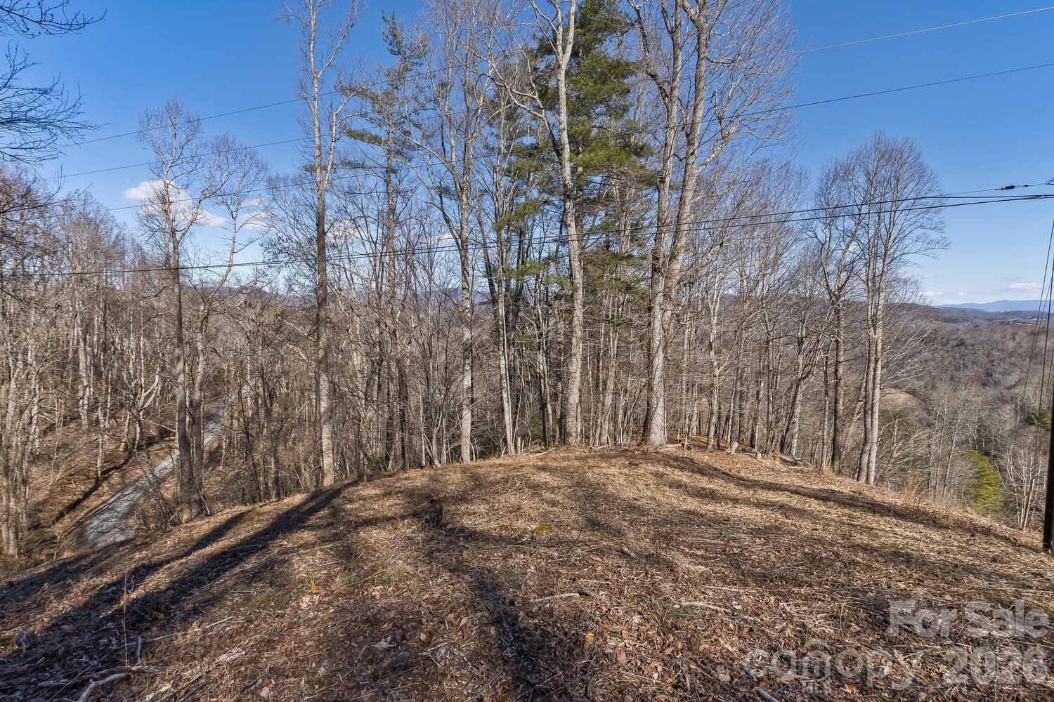 99999 Anderson Branch