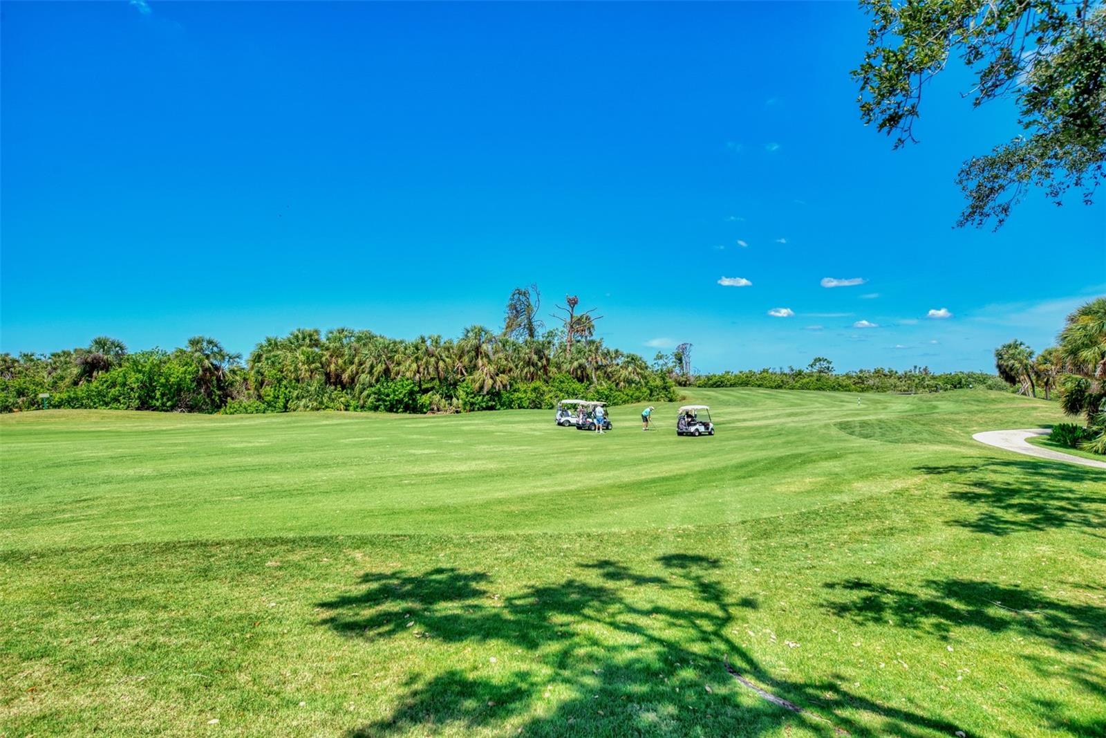 3359 Osprey Lane