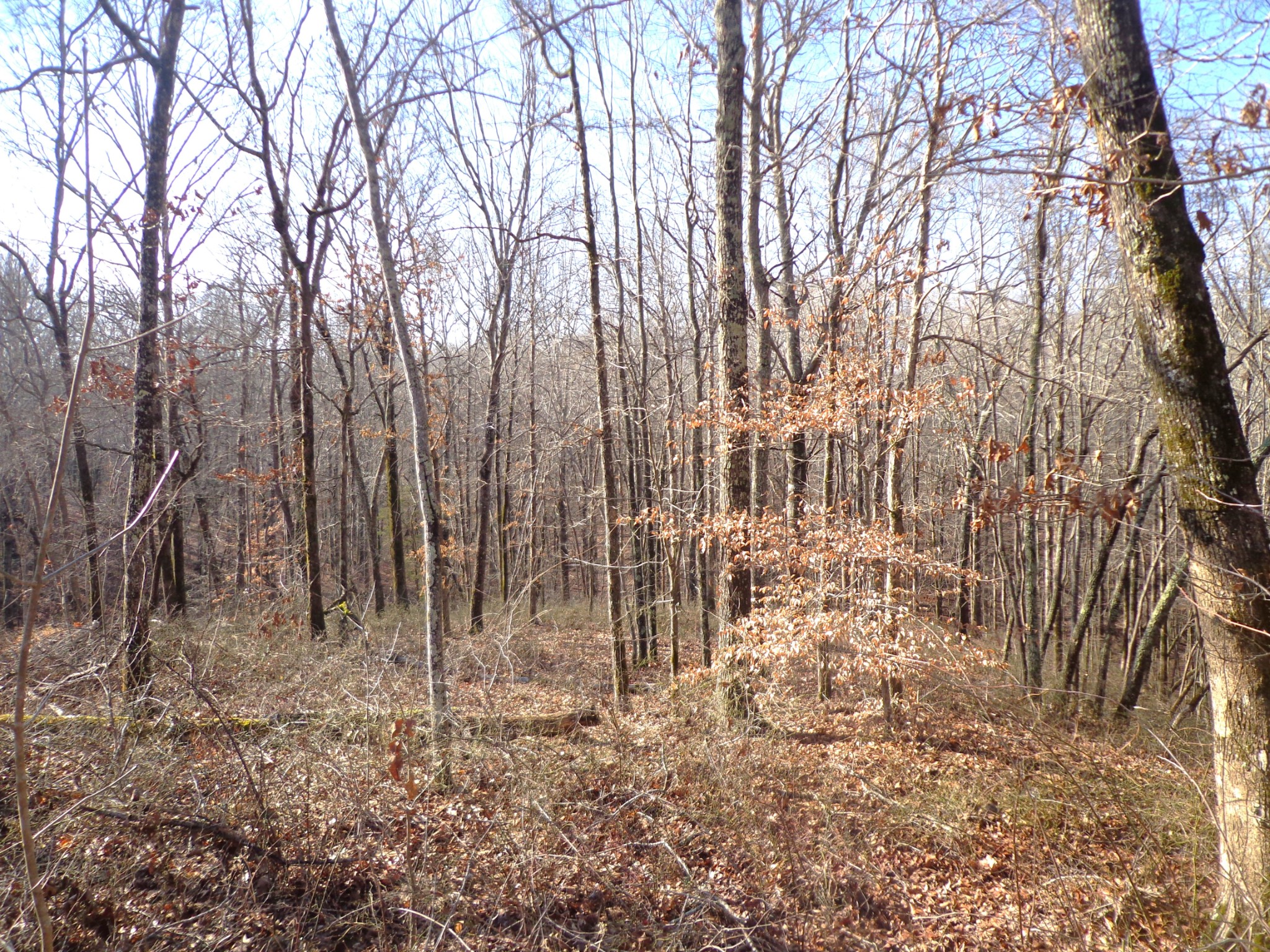 0 Deer Grass Ln