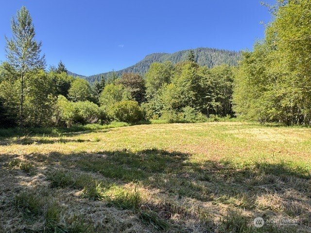 Multi use timbered property with nice scattered meadows.  Perfect place for family campground or hideaway.  Growing timber is mix of hardwoods and Fir.  older logging road wanders thru the property providing great access.  Very secluded setting with Alder Lake just over the ridge. forest tax classification keeps taxes low.  Seller offering easy financing terms. County paved road access. Lots of wildlife and at the gateway to Mt. Rainier National Park. Quiet community of Elbe nearby and 1/4 mile from Alder Lake .  Enjoy fishing and boating and great Campgrounds nearby.   Do not miss this opportunity to invest in timber and super homesite property.