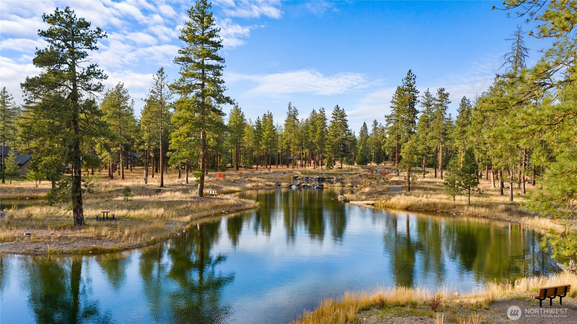 Nelson lakes has a great walking path along the entire area. Great place to see the wildlife.