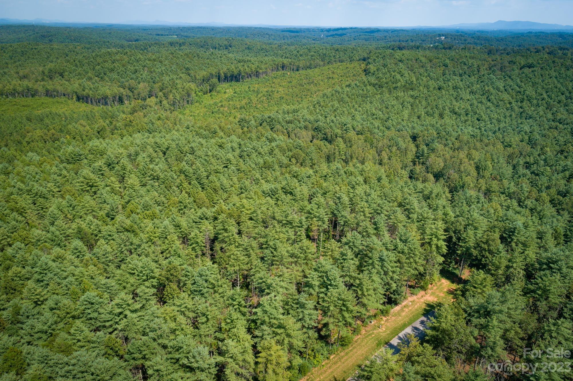 4562 Firetower Road 46
