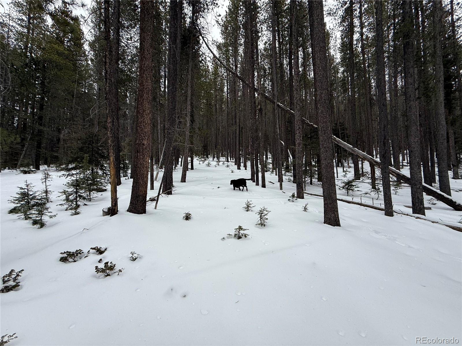 Lot 2805 Moir Drive