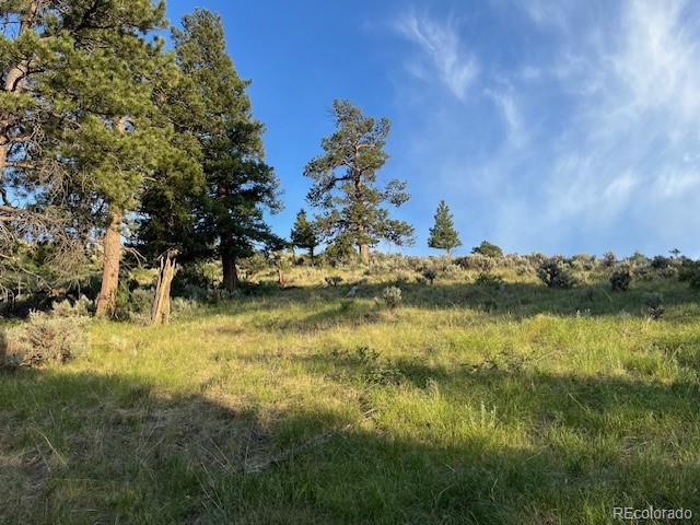 Lot 4630 Spring Road