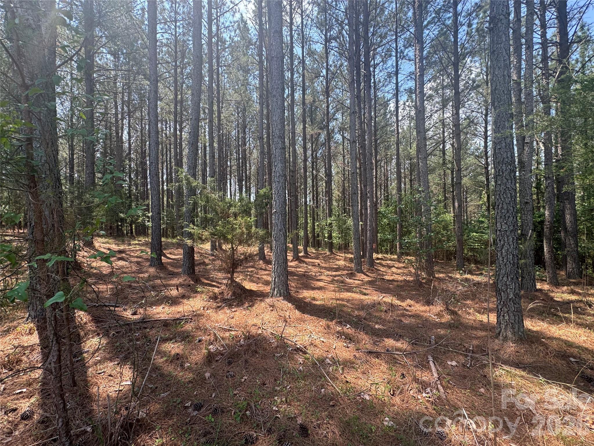 105 Stoney Brook Trail