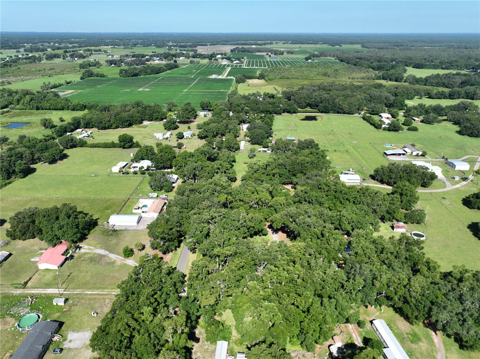 Lanier Road