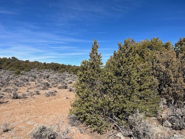 Lot 3 Ravenwood Lane