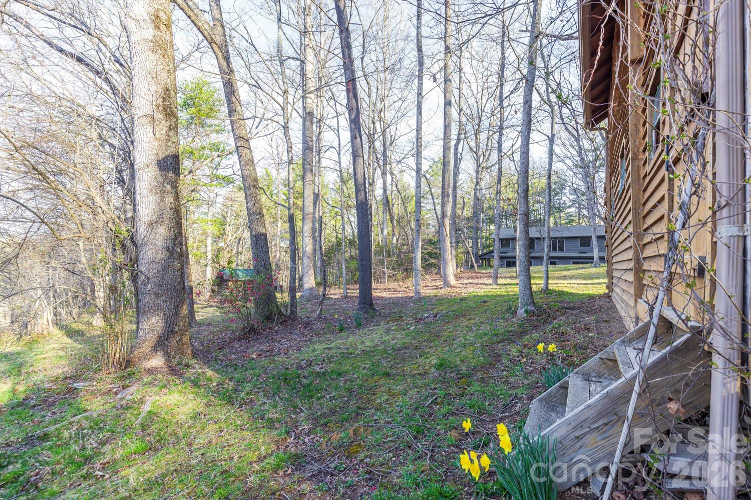117 Woods View Trail